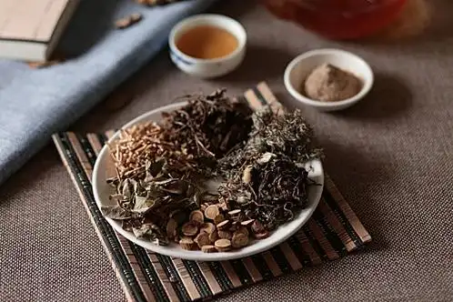 中毒性菌痢中药方剂