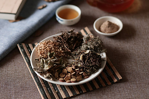 中毒性菌痢中药方剂